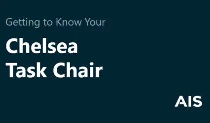 Chelsea User Instructions