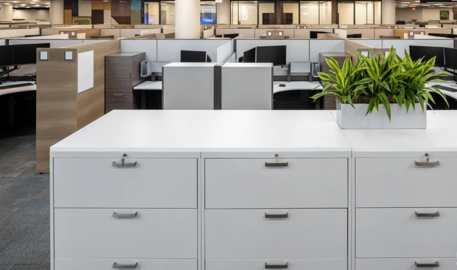 Client space with l series steel storage 3 high lateral storage md
