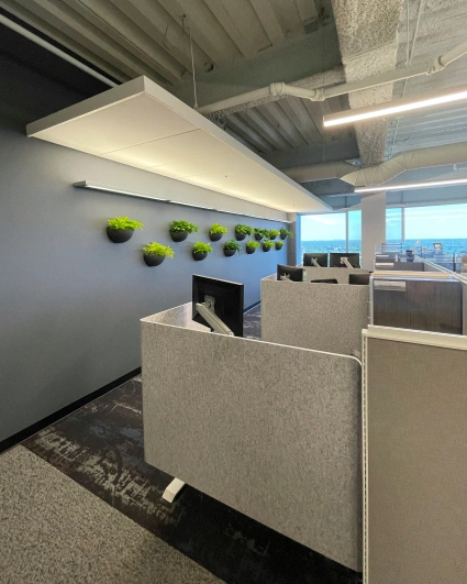 Photo Jun 17 2 48 50 PM