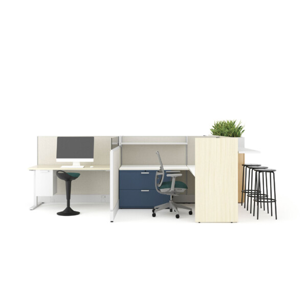 Divi web