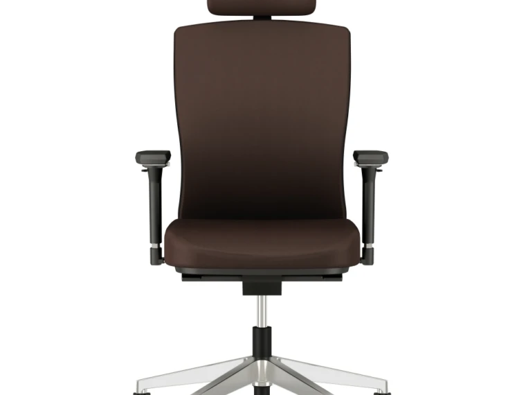 Natick executive chair with 4d arms and headrest md
