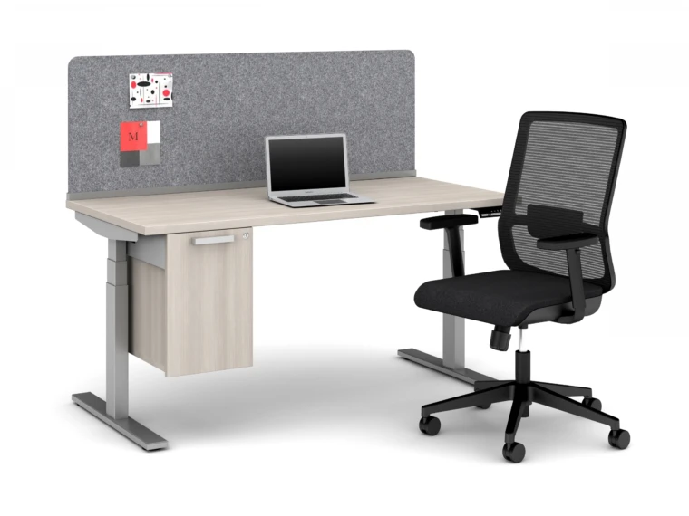 Day to day 60 x 30 height adjustable table with pet channel screen calibrate suspended storage and essex seating lg