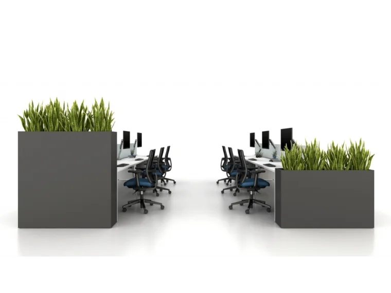 Calibrate dry planters at 50 and 30 for privacy at end of runs md 1