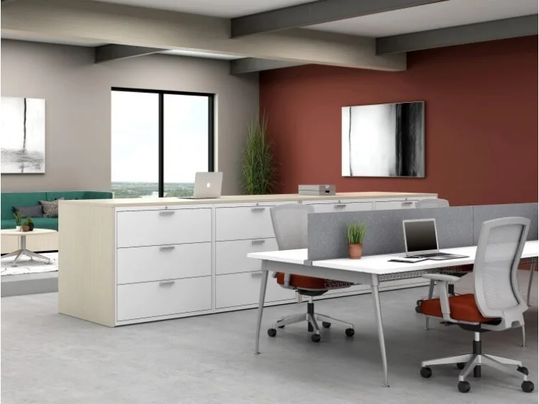 L series laminate wrapped lateral files with oxygen and lb lounge md 2025 12 16 191239 qdoi