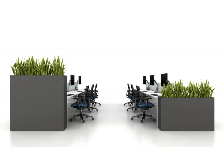 Calibrate dry planters at 50 and 30 for privacy at end of runs md 1