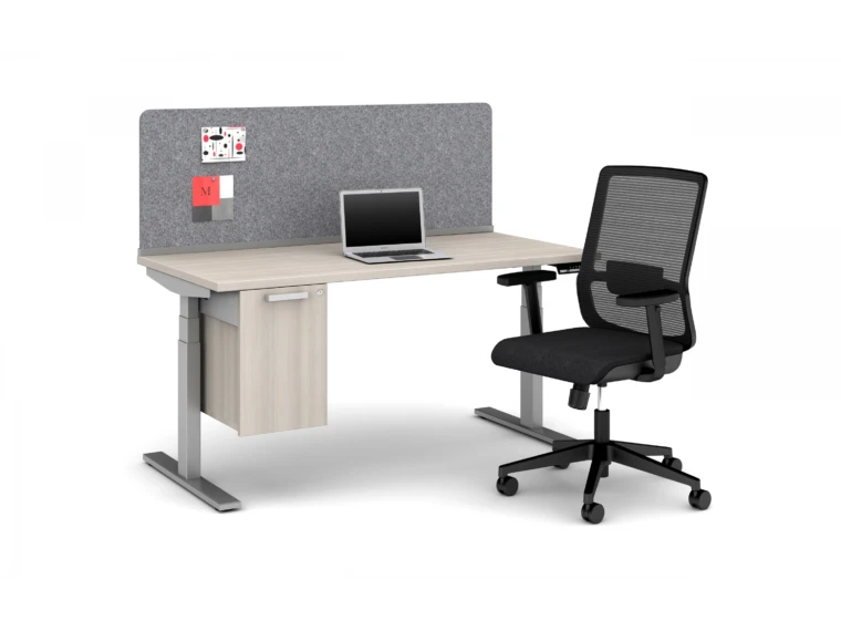Day to day 60 x 30 height adjustable table with pet channel screen calibrate suspended storage and essex seating lg