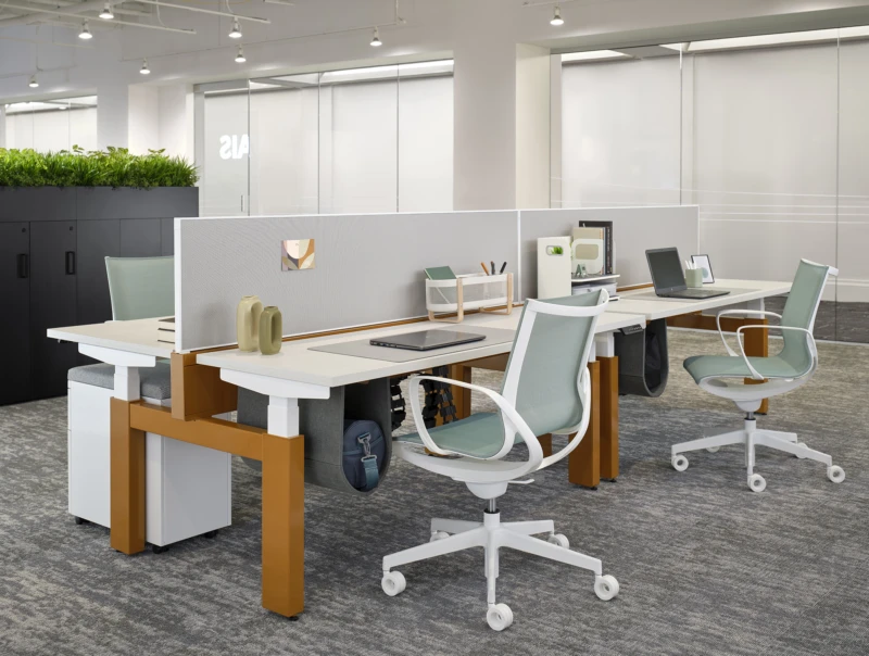 Roya with Encounter H Leg