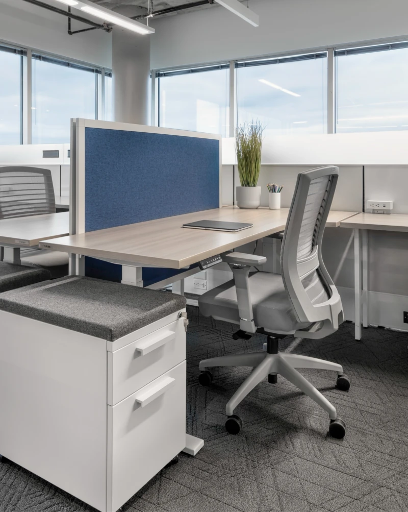 SVG AIS websize 2711