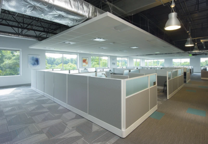 Client ste with divi md