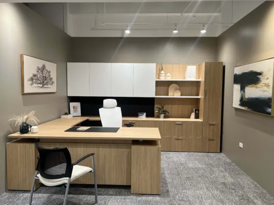 Private office neocon 2024