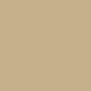 Warm Brown 1 1