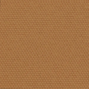 Chase Ochre