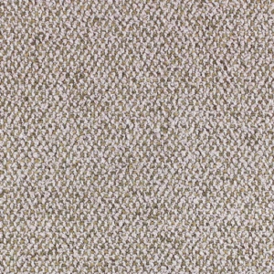 Dwell Blush