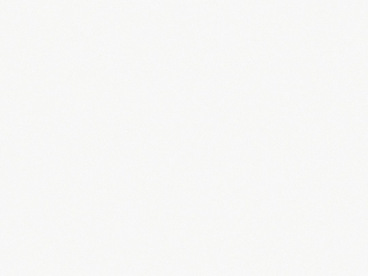 00459 Swatch