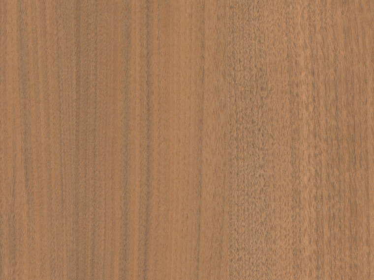 Brazilwood