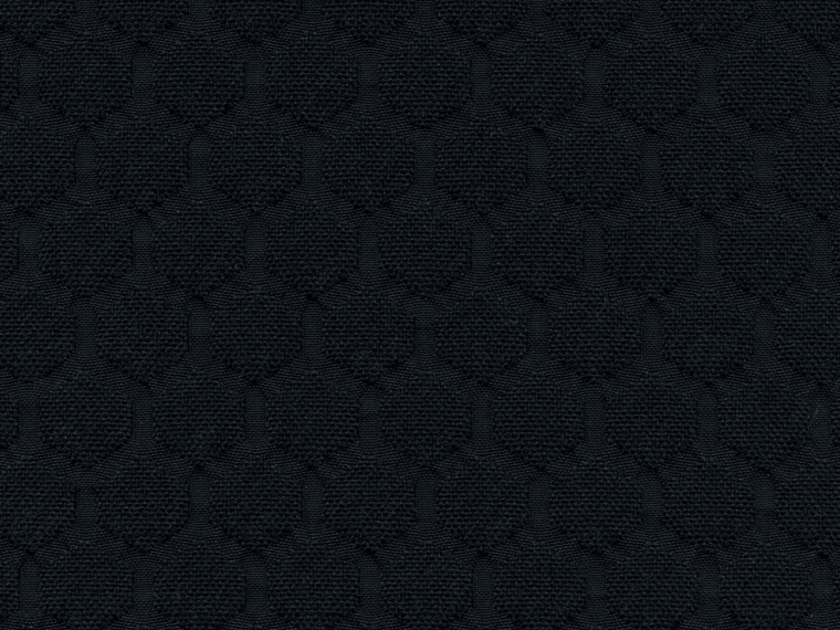 Beehave Black