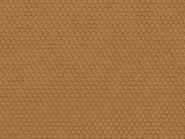Chase Ochre