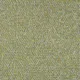 Dwell Citron