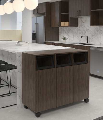 07 AIS R26 CALIBRATE TRASH CART COMMERCIAL KITCHEN R0