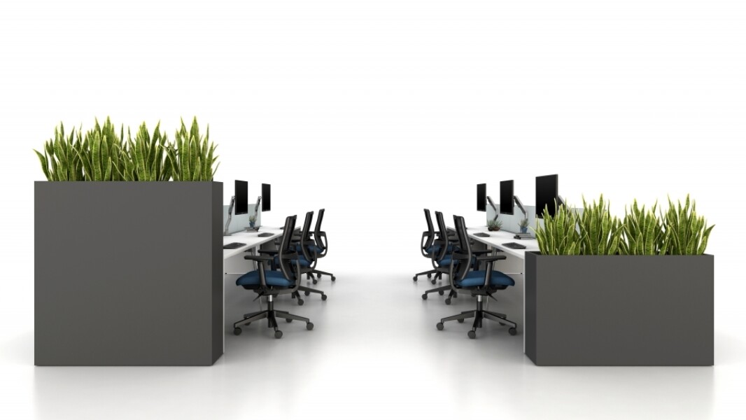 Calibrate dry planters at 50 and 30 for privacy at end of runs md 1