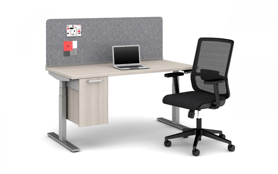 Day to day 60 x 30 height adjustable table with pet channel screen calibrate suspended storage and essex seating lg